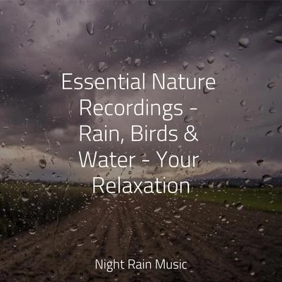 Academia de Música para Massagem e Relaxamento/White Noise Babies/Pro Sound Effects Library Essential Nature Recordings - Rain, Birds & Water - Your Relaxation