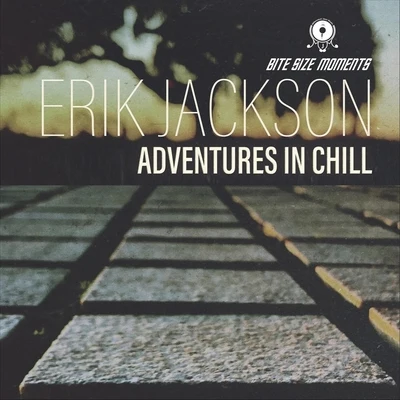 Bite Size Moments/Millennium Jazz Music/Erik Jackson Adventures in Chill