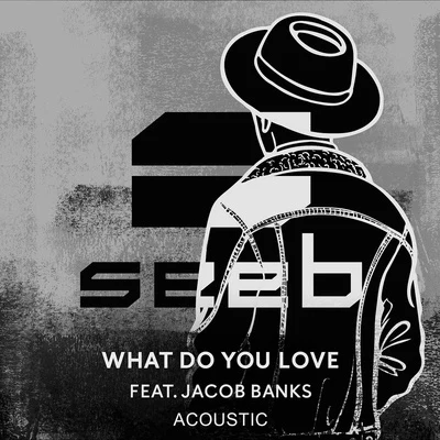 Seeb What Do You Love (Acoustic)