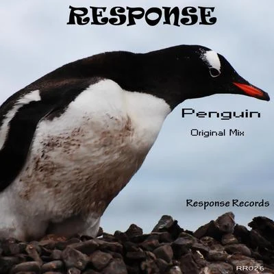 Response Penguin