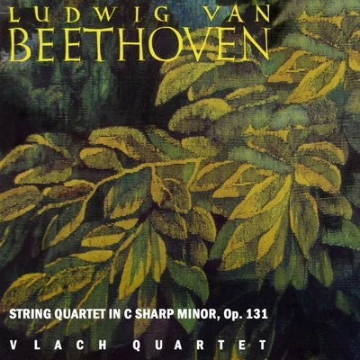 Vlach Quartet Beethoven String Quartet