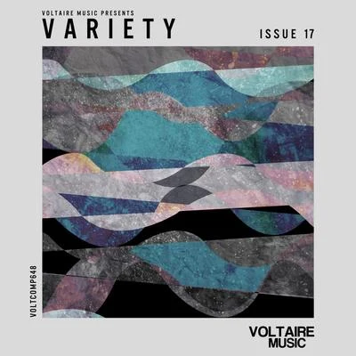 Various Artists/Luke Solomon Voltaire Music Pres. Variety Issue 17 (NotExplicit)