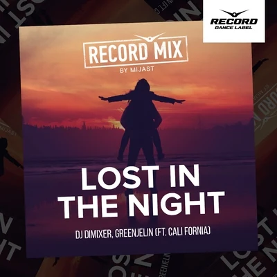 DJ DimixeR/Greenjelin Lost in the Night (Mijast Remix)