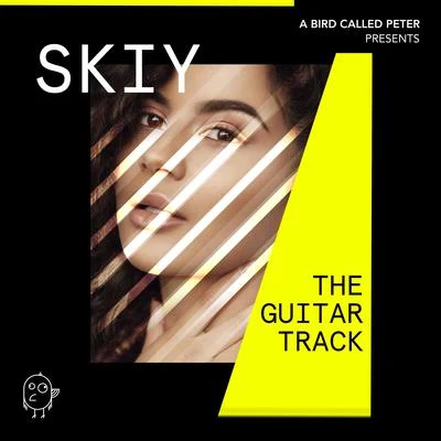 SKIY The Guitar Track