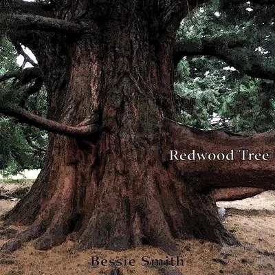 Bessie Smith Redwood Tree