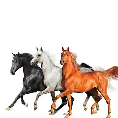 Billy Ray Cyrus/Diplo/Lil Nas X Old Town Road (Diplo Remix)