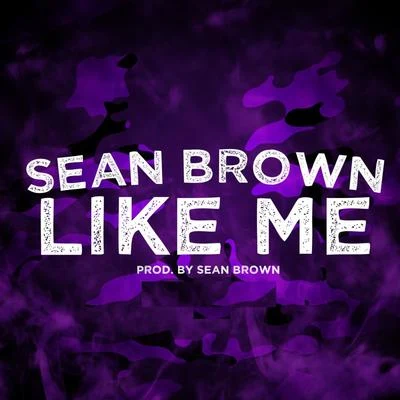 Sean Brown Like Me