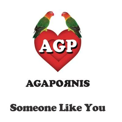 Agapornis Someone Like You