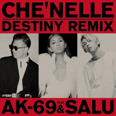 CheNelle Destiny (Remix)