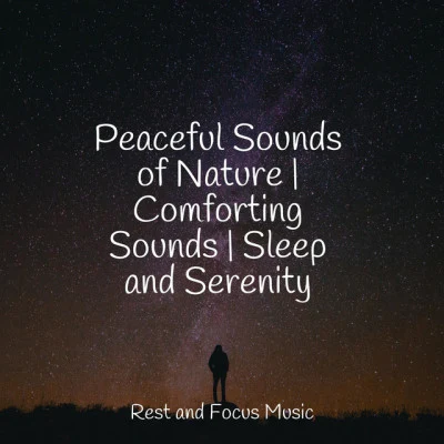 Spa Music Collective/Calm Shores/Academia de Música con Sonidos de la Naturaleza Peaceful Sounds of Nature | Comforting Sounds | Sleep and Serenity