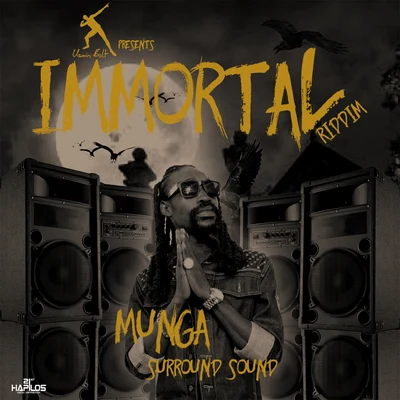 Munga Surround Sound