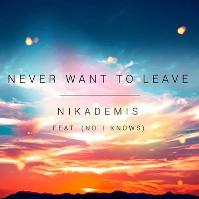 Nikademis Never Want To Leave (feat. No 1 Knows)