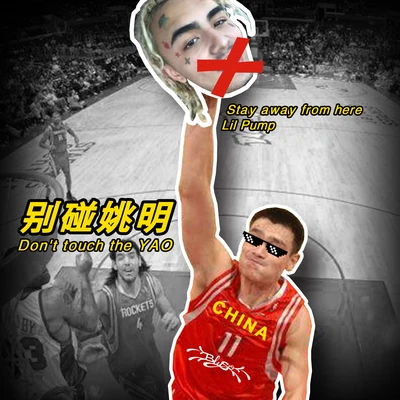 Yinu Boy Dont Touch Yao Ming