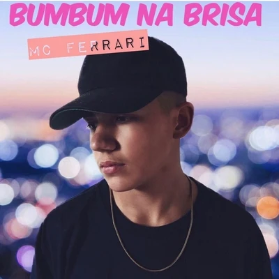 MC Ferrari Bumbum Na Brisa