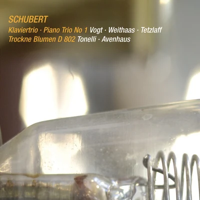 Lars Vogt Schubert: Piano Trio No. 1, D. 898 & Trockne Blumen, D. 802 (Live)