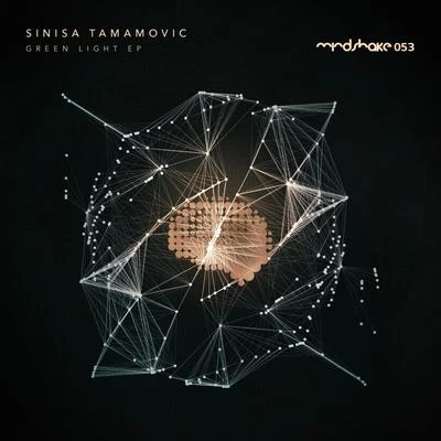 Sinisa Tamamovic Green Light EP