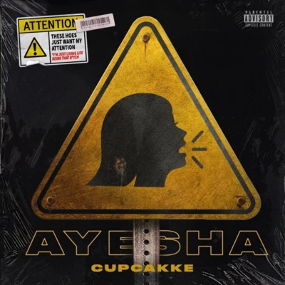 cupcakKe Ayesha