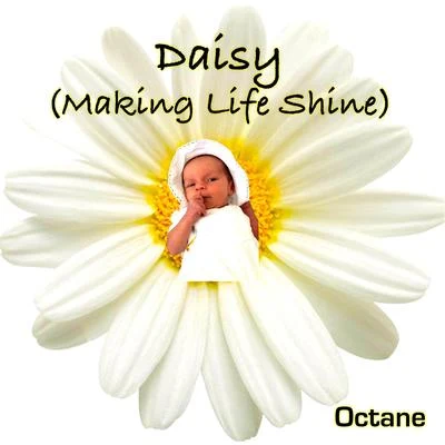 Octane Daisy Making Life Shine