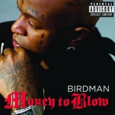 Birdman Money To Blow