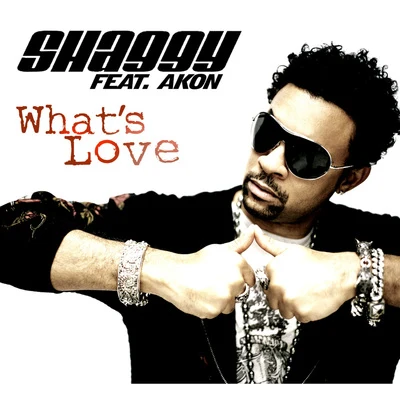 Shaggy What's Love