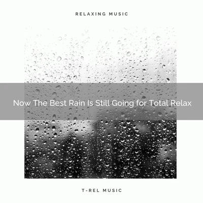 Rain Storm Sample Library 2020 Best: Now The Best Rain Is Still Going for Total Relax