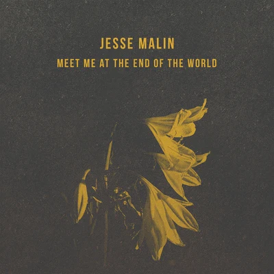 Jesse Malin Meet Me At The End Of The World