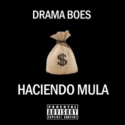 Drama Boes Haciendo Mula