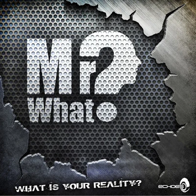 Mr.what? What Is Your Reality?