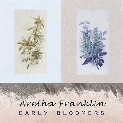 Aretha Franklin Early Bloomers