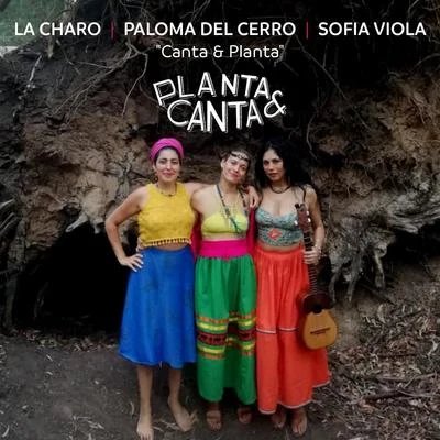 Sofía Viola/La Charo/Paloma del Cerro/plant A & can他 Canta y Planta (En Vivo)