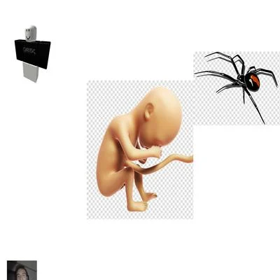 CXRPSE FETUS DELETUS