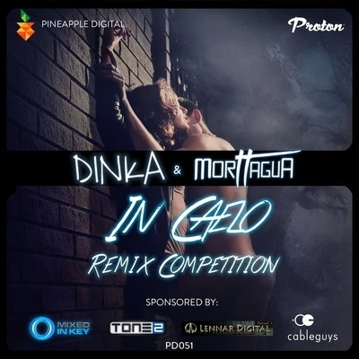 Dinka In Caello (Remixes Part 2)