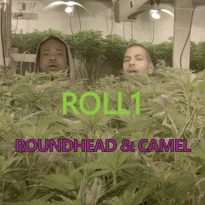 Roundhead Roll1