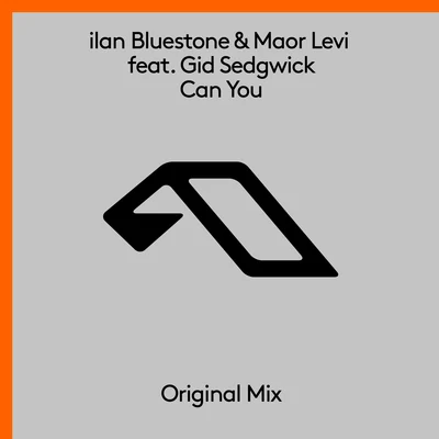 ilan Bluestone/Maor Levi Can You