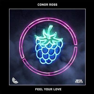 Conor Ross Feel Your Love