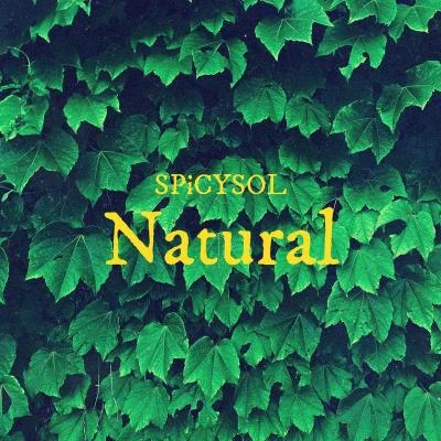 SPiCYSOL Natural