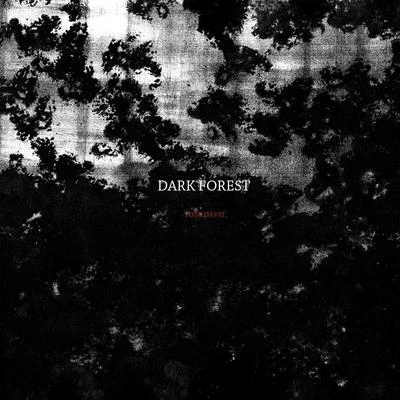 Toby Davis Dark Forest