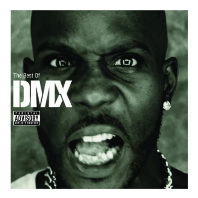 DMX Best of DMX