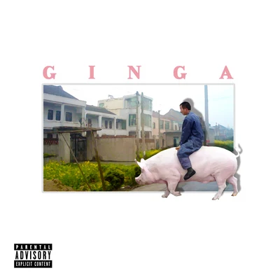 Ginga (金甲) 三環外買別墅