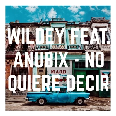 Anubix/Wildey No Quiere Decir (feat. Anubix)