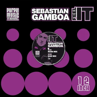 Sebastian Gamboa Feel It