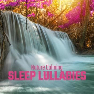 Sleep Sound Library/Nature Sounds for Sleep and Relaxation Nature Calming Sleep Lullabies: 2020 Nature Music for Sleep, Rest and Relax