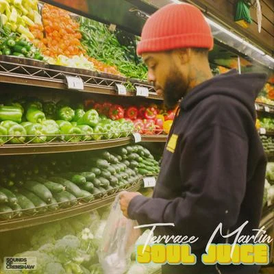 Terrace Martin Soul Juice