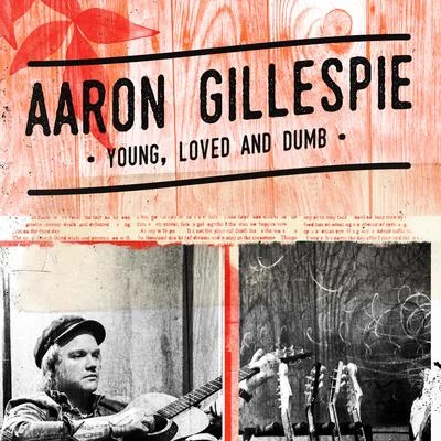 Aaron Gillespie Young, Loved & Dumb