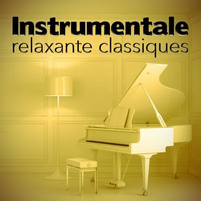 Antonín Dvořák Instrumentale Relaxante Classiques