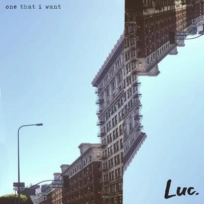 luc/Story of Luc One That I Want