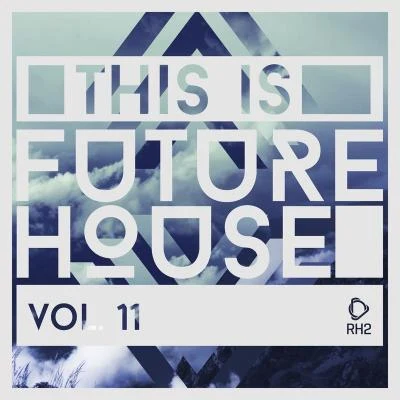 Roger Horton/Third Dimension/Danny Dove/Chris Montana/FredB/Max Bering This Is Future House, Vol. 11