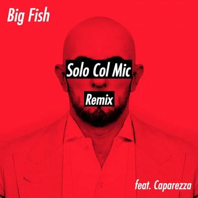 Big Fish Solo Col Mic