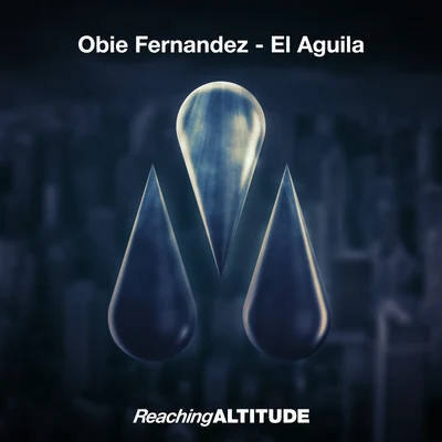 Obie Fernandez El Aguila