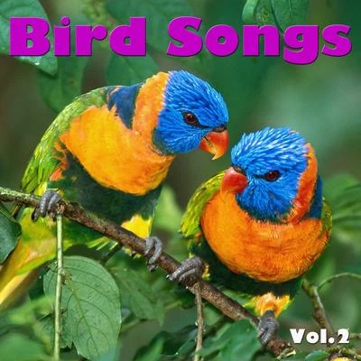 Wildlife Bird Songs, Vol. 2